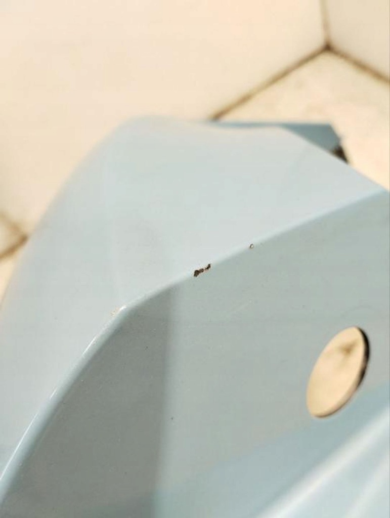 фото №9, Porsche taycan 9j1 2022 бамперы