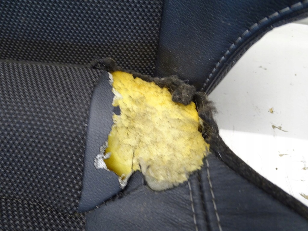 фото №11, Сиденье правый левый перед заднее сиденье спинка задняя kia sportage iii pół кожа