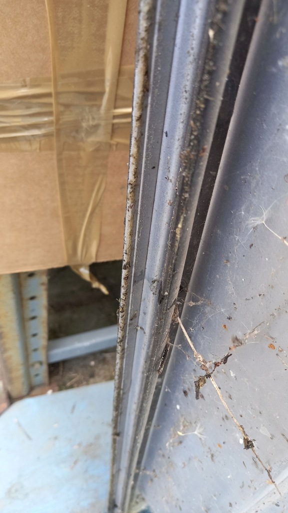 фото №7, Двері перед передні праве citroen c8 03r