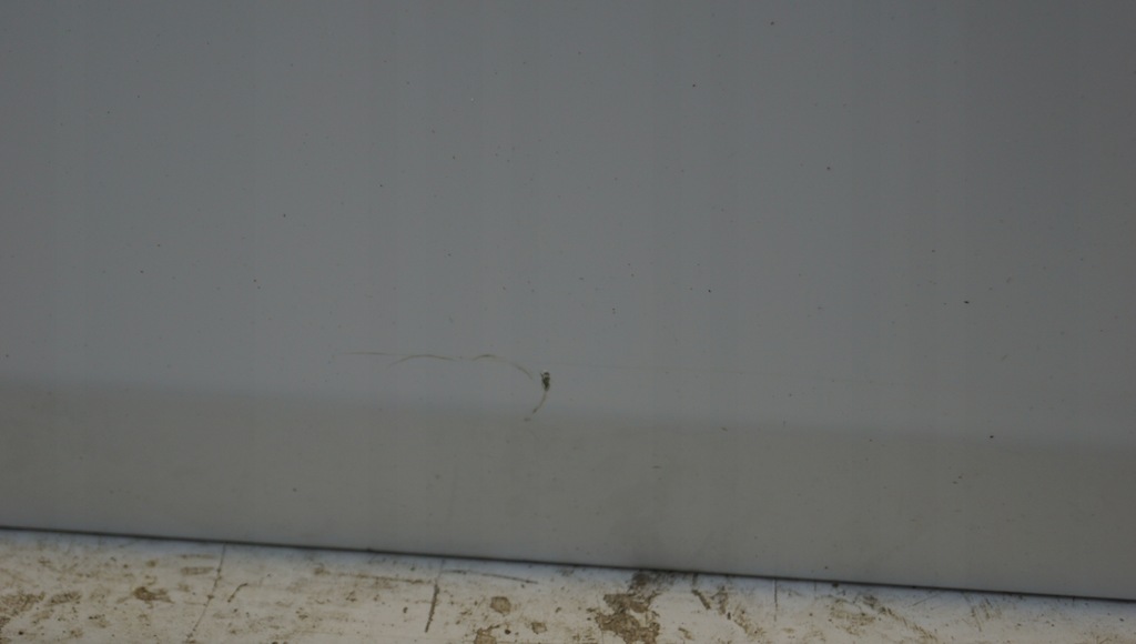 фото №9, Дверь правый перед seat leon ii lift