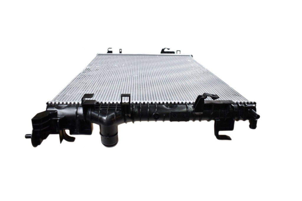 фото №7, Радиатор wody talisman 214107286r