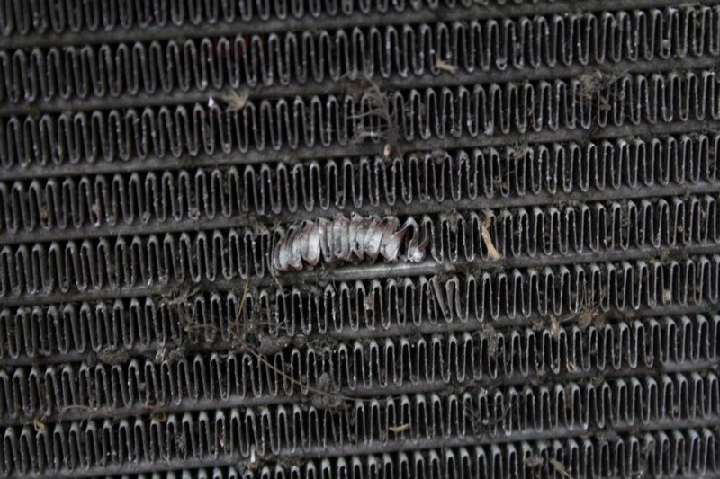 Радиатор воды seat leon 1 1 1.4 16v 99-05 в Украине