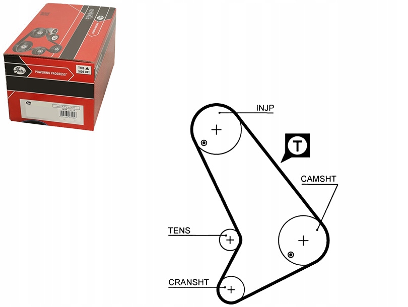 фото №1, Gates 5572xs ремень распределительного вала