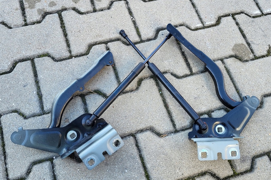 фото №1, Renault talisman петлі капот l+p комплект