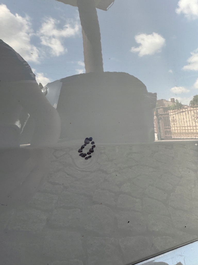 фото №11, Дверь правое передние правое задние kombi skoda superb 3 iii 3v 2015-