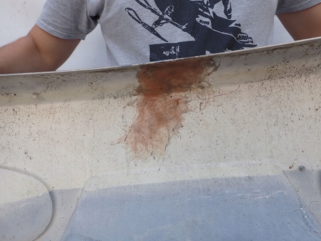 Ferrari 430 f430 modena бампер перед передний с Разборки