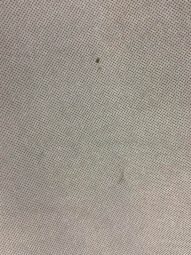 фото №9, Потолок 6j4867501t seat ibiza iv 6j хэтчбек 5-дверь 08-17