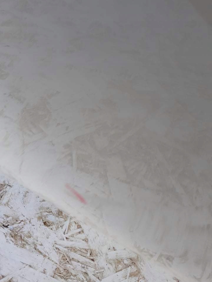 фото №12, Дверь правое задняя задние mercedes e klasa w213 kombi