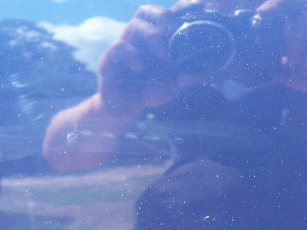 фото №7, Дверь стекло левая lb5n vw polo 9n iv 3 дверь