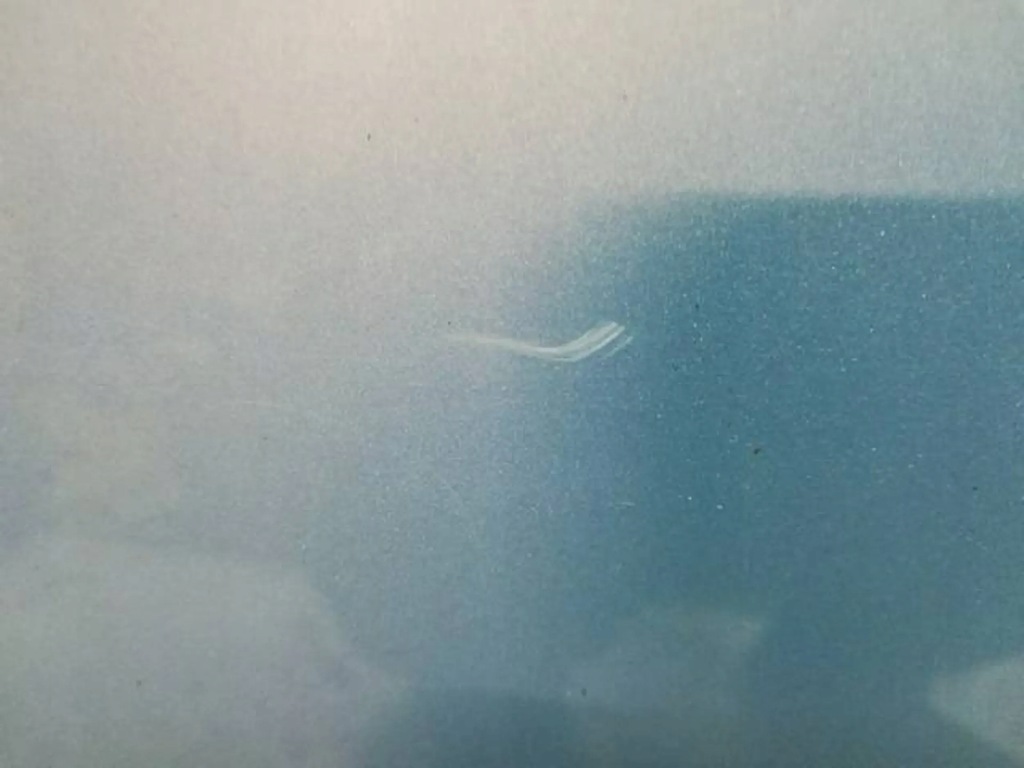 фото №6, Капот крышка двигателя renault kangoo ii iii ternp