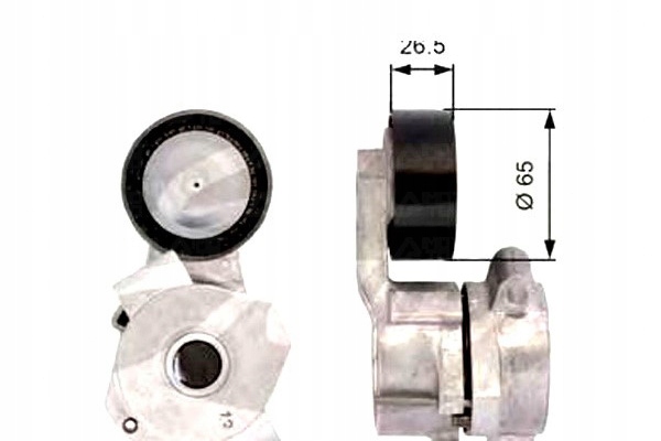 фото №1, Gates натягувач ремінь багаторучейковий citroen jumper