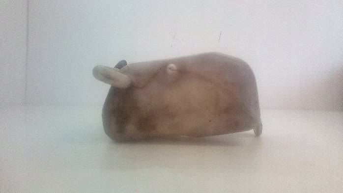 фото №6, Бачок расширительный toyota camry 16470-03060