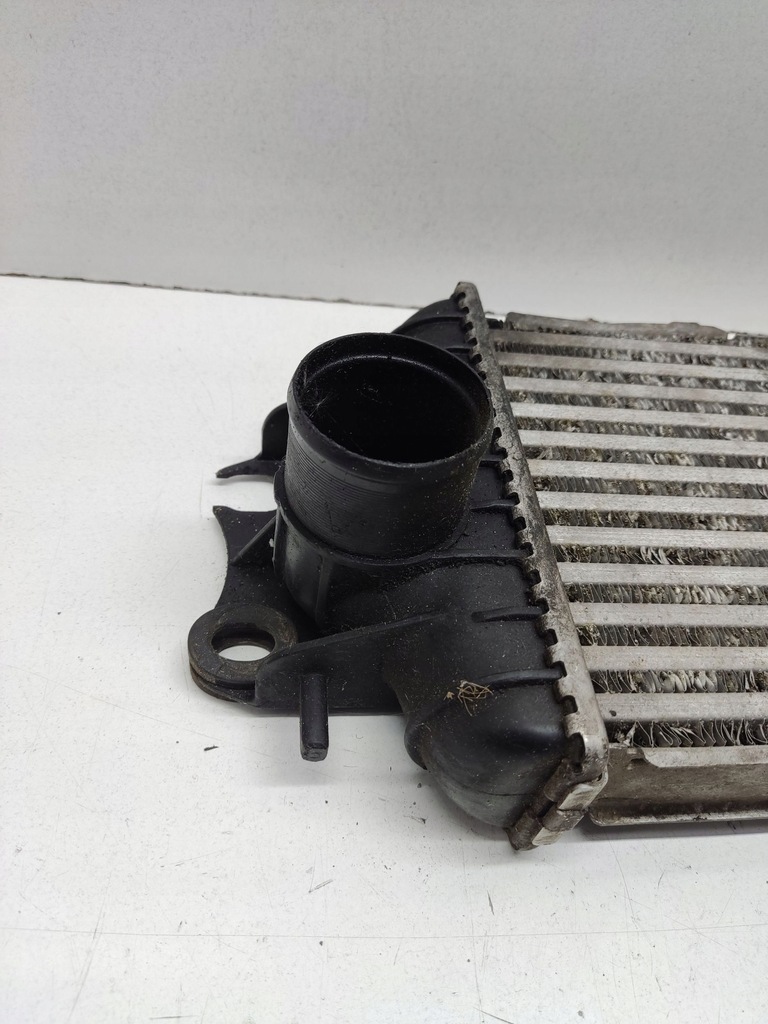 фото №7, Renault trafic ii x83 2008 интеркулер 817636