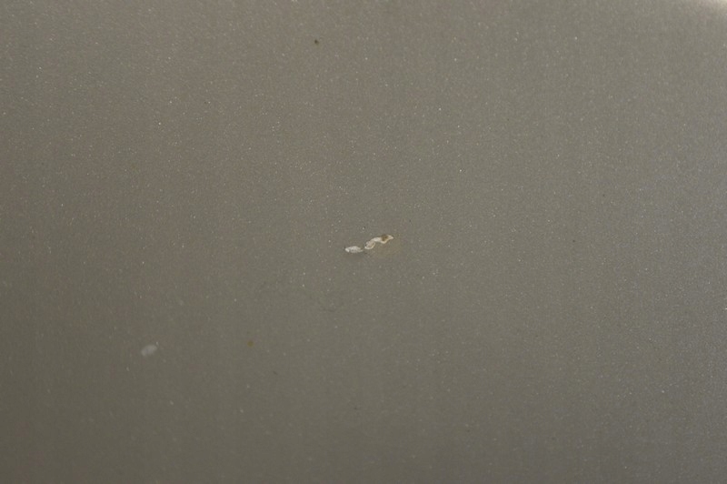 фото №5, Капот крышка двигателя песчаный ford galaxy mk1 1 i lift 00-06