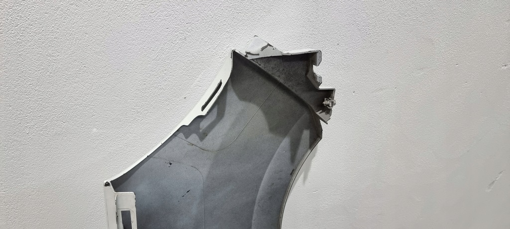 фото №8, Крыло левый перед передний renault kangoo ii 07-12