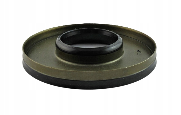 фото №9, Поршні набір 62te 07+