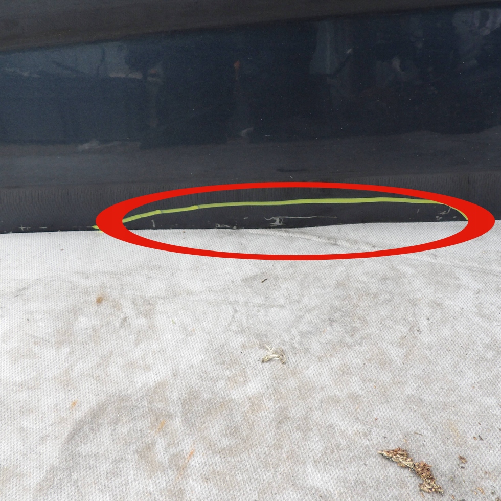 фото №2, Двері ліва передні renault megane iv 4