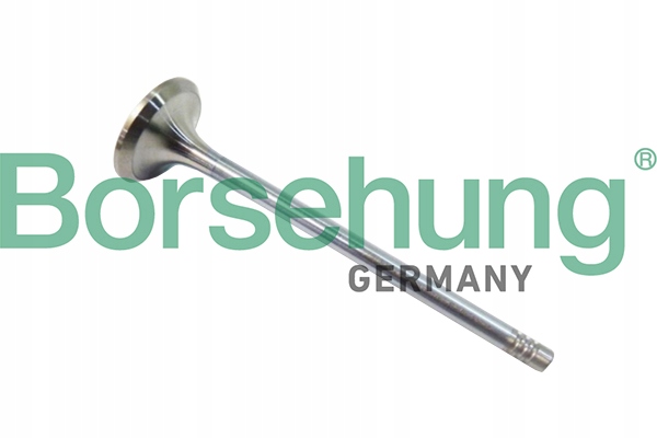 фото №1, Клапан выпускной vag