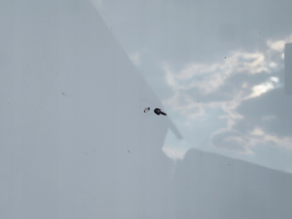 фото №11, Audi a5 b8 8t lift sportback coupe cabrio 12-15 капот белый идеальное состояние 8t0823029h