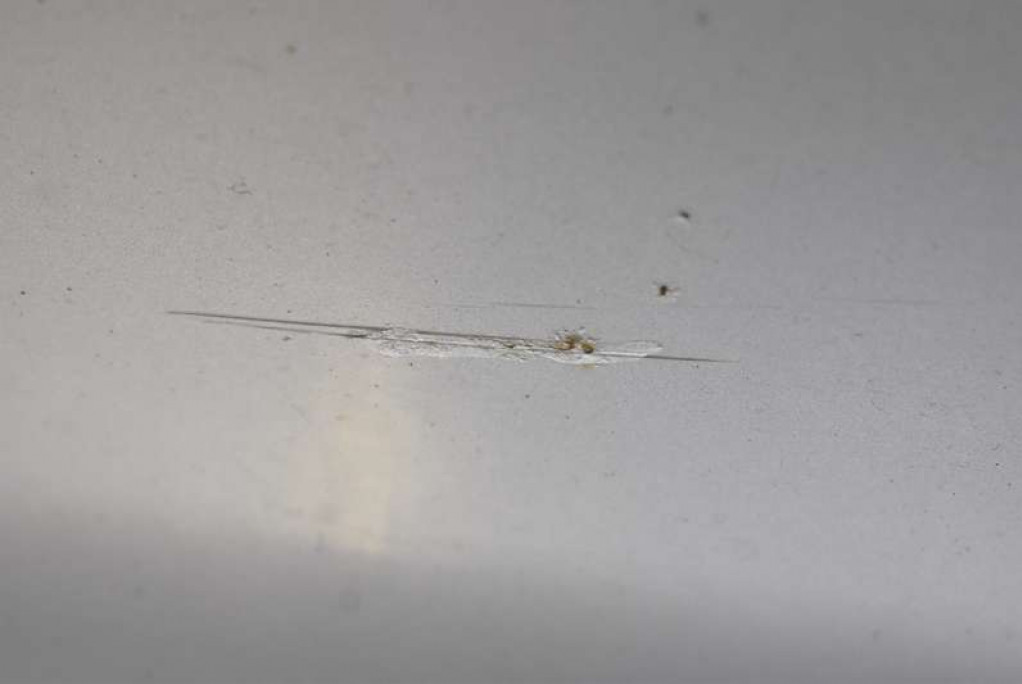 фото №11, Двері ліва задня задні сріблястий toyota corolla verso 2 ii 01-06