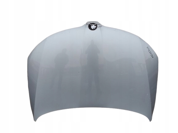 фото №1, Skoda rapid 5j 12- капот