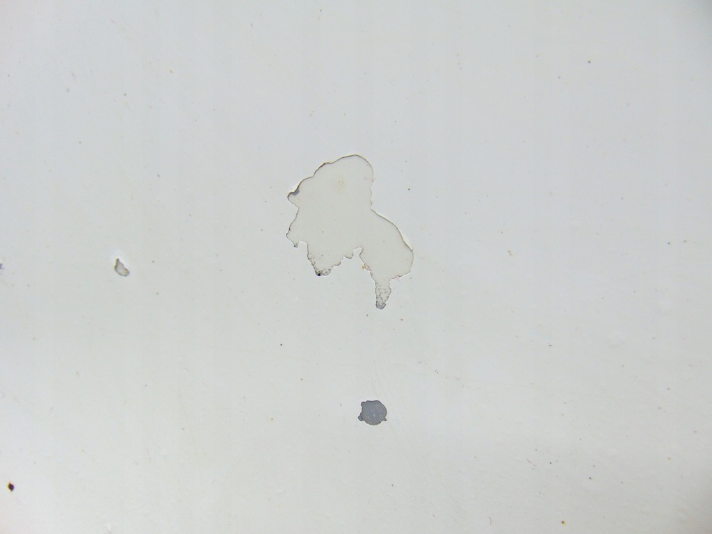 фото №12, Дверь правое правый перед передние audi tt 8j цвет ly9c