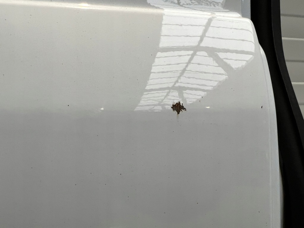 фото №6, Двері лівий задня задні ford transit connect ii 2