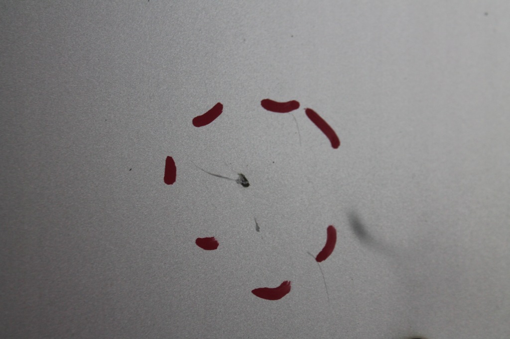 Капот крышка двигателя s-max mk1 kol. 58 06-10 с Разборки