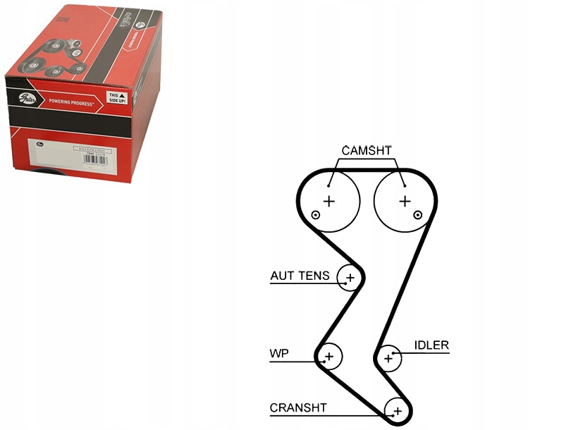 фото №1, Gates 5582xs ремінь розподільного валу