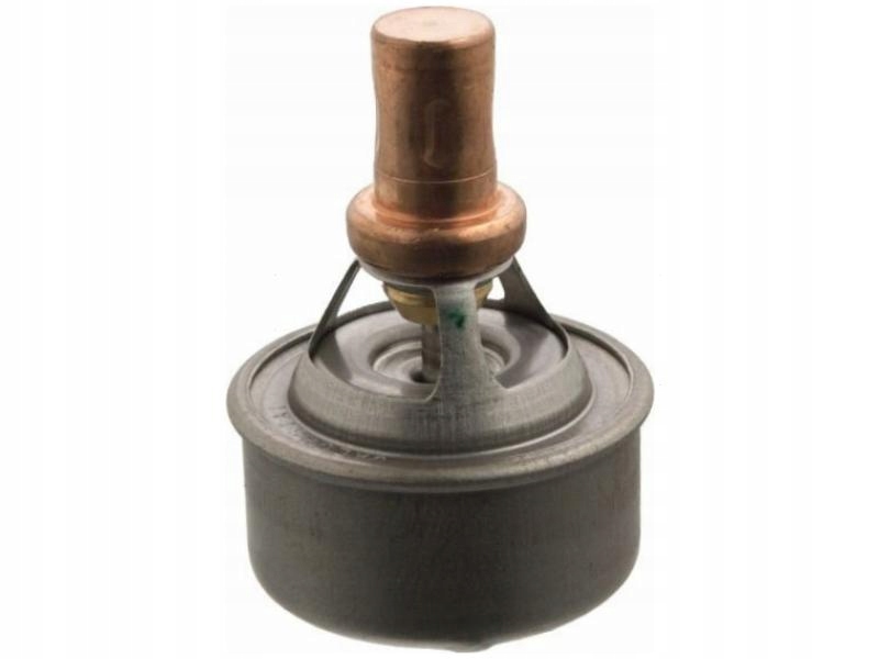 фото №14, Febi bilstein термостат