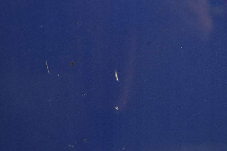 фото №8, Дверь правое перед передние niebieskie honda jazz 3 iii 08-15