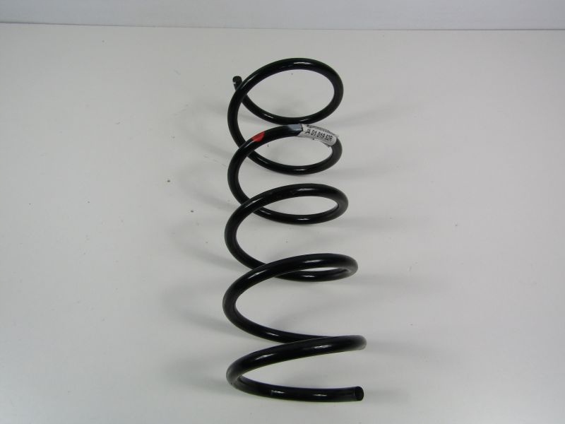 фото №1, Duster i пружина перед 540101952r