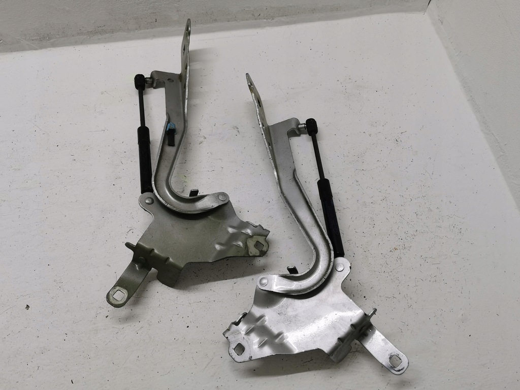 фото №3, Петли капот renault scenic iii 654010004r 08-16