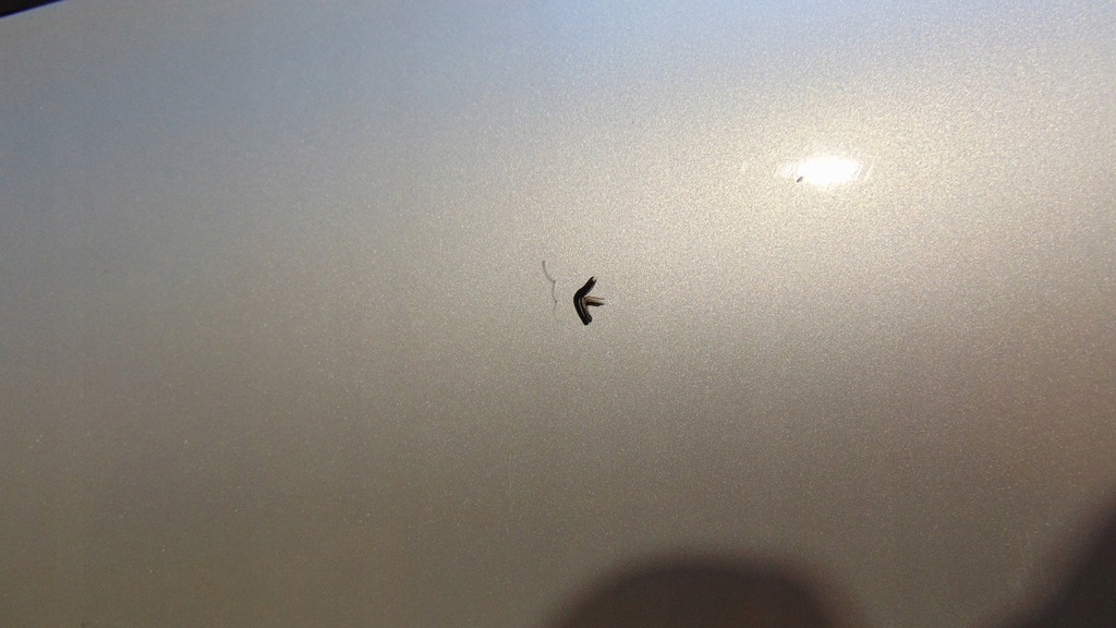 фото №10, Двері правий ліва передні seat altea l57y