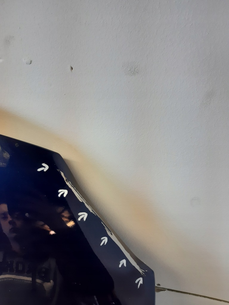 фото №13, Капот крышка ford mustang lift iv 2018