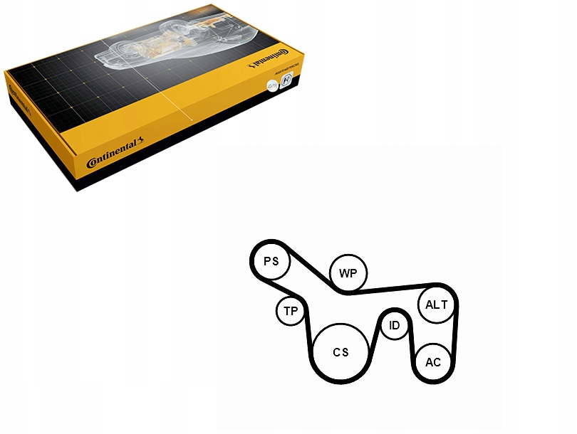 фото №1, Набор ремни многоручейковых с ролики ford focus i tourneo connect