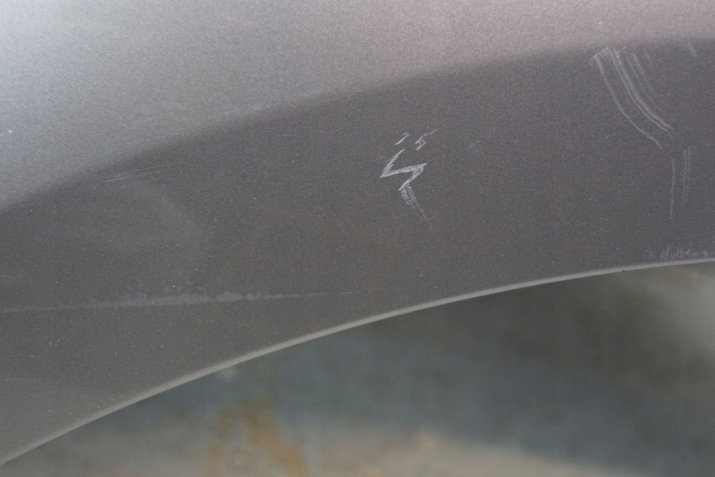 фото №9, Renault scenic iii tekng крила лівий перед b2568