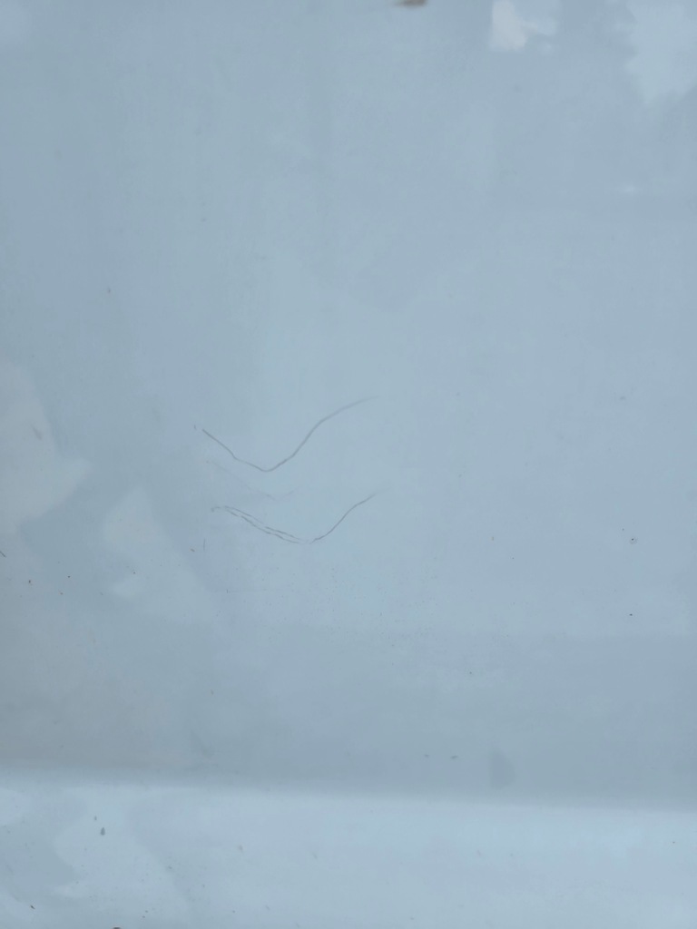 фото №8, Двері правий перед передні opel vivaro a 01-14 rok kompl. білий lift