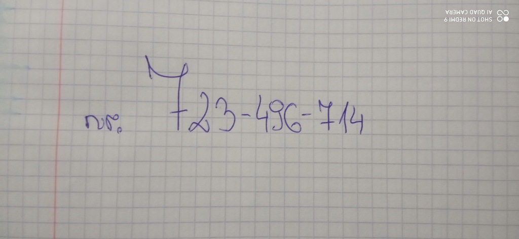 фото №2, Полка багажника renault clio iii тонированная