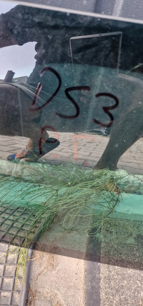 фото №7, Стекло правый задняя правая citroen ds3 кузовная