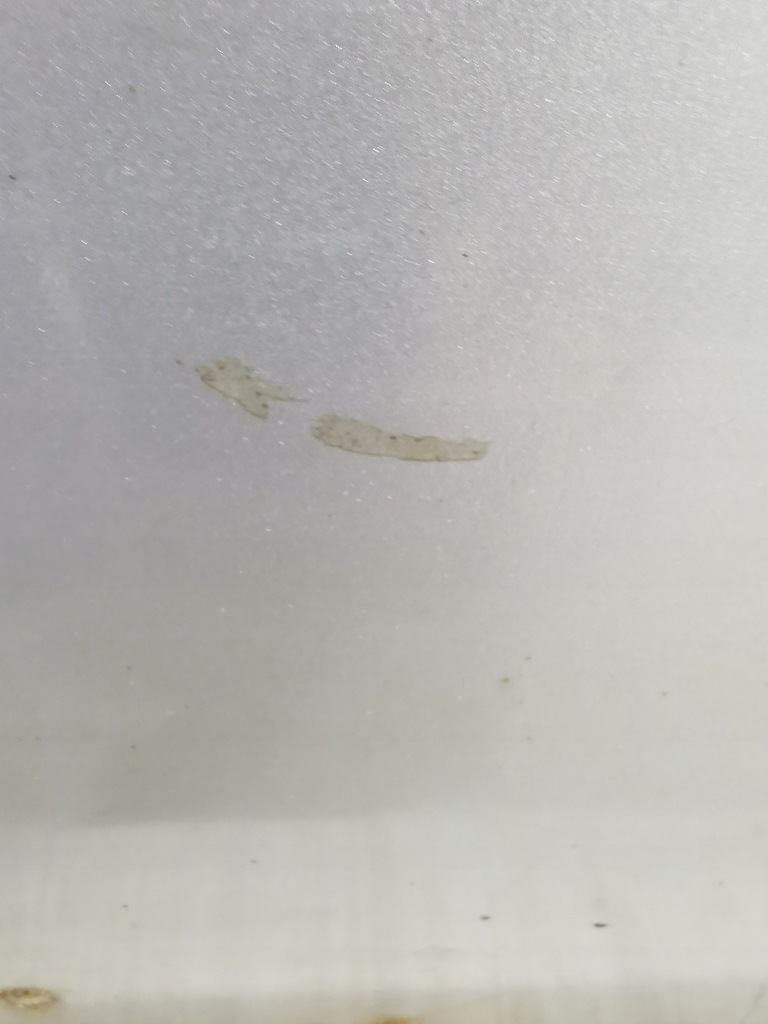 фото №7, Ford ranger iv 2006/2009 двері праве задня повний