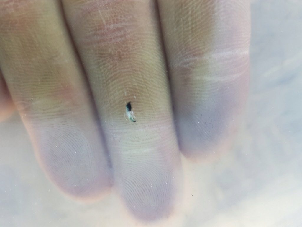 фото №9, Скло лобове передня peugeot 508 08r 2010-2018