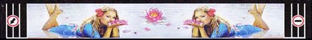 фото №1, Брызговик полуприцепа длинный long vehicle