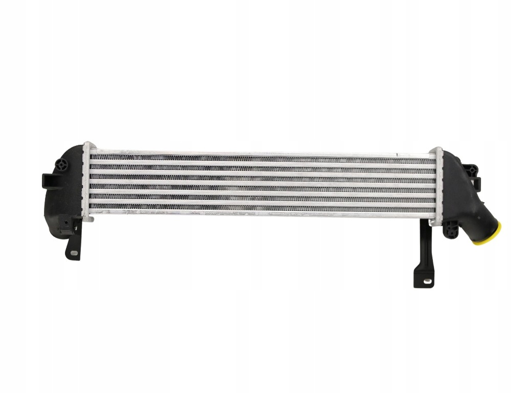 Fast інтеркулер renault kangoo 98 1.5 dci Ціна