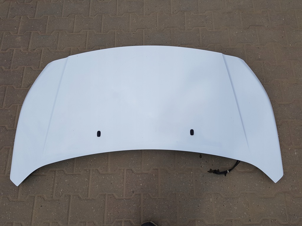 фото №1, Ford transit connect mk2 2013- капот