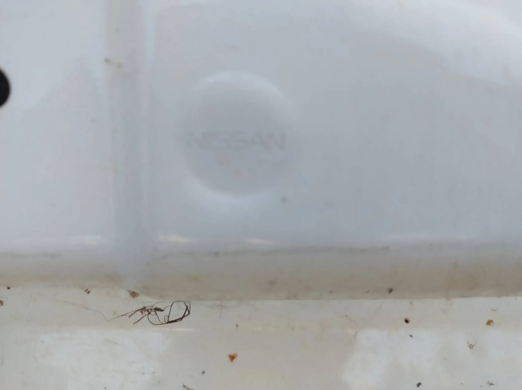 фото №16, Nissan qashqai j12 2021-2024 дверь перед передние левая