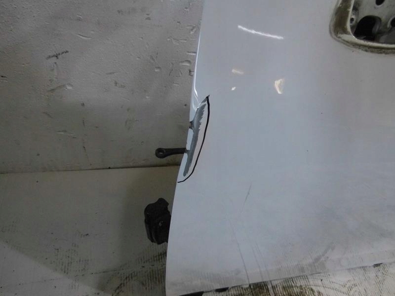 фото №3, Двері лівий перед dv369 renault scenic iii