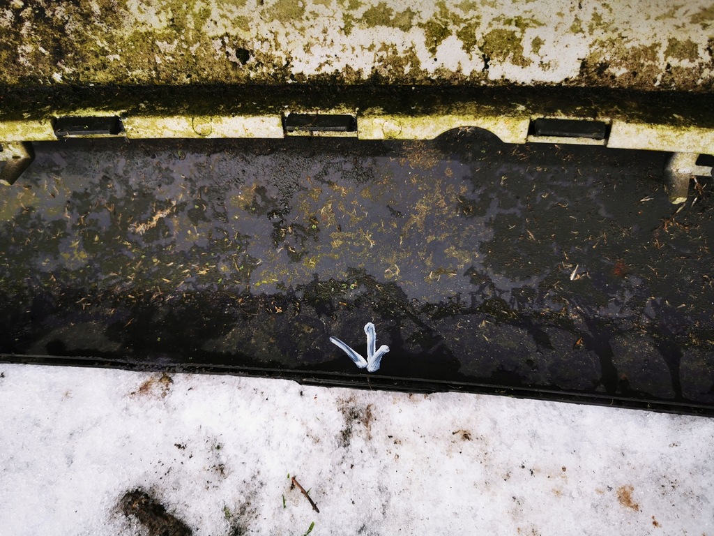 фото №9, Opel vectra c kombi бампер задня 03-