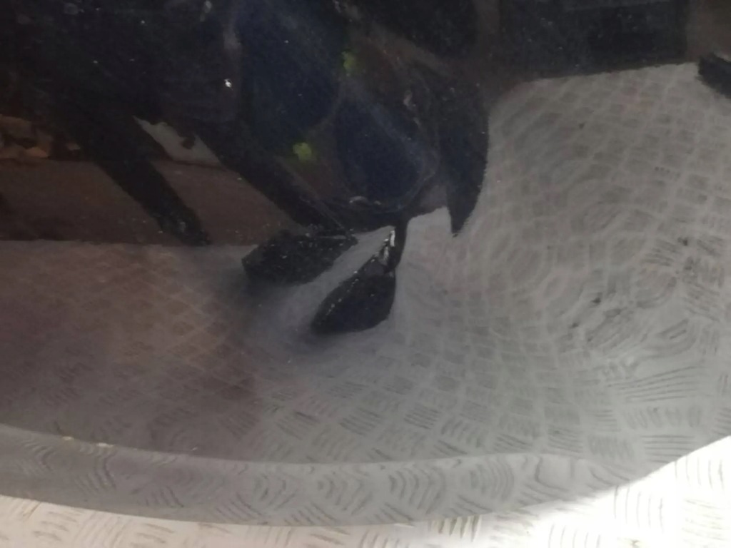 фото №6, Дверь задняя задние левая citroen ds4 kgn