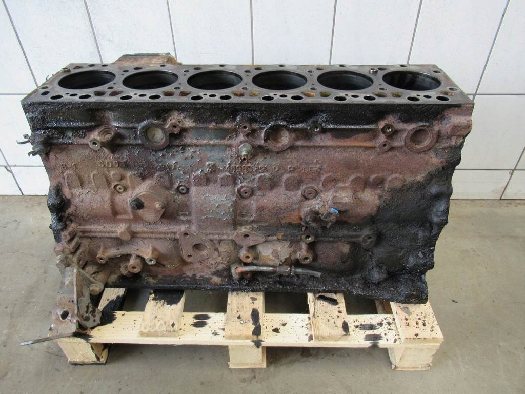 фото №9, Блок двигателя daf lf 55.220 euro3 fv vat